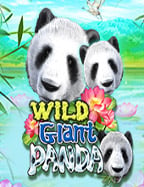 เปิดประสบการณ์ ทดลอง ยิง ปลา แบบใหม่ สนุกสุดมันส์